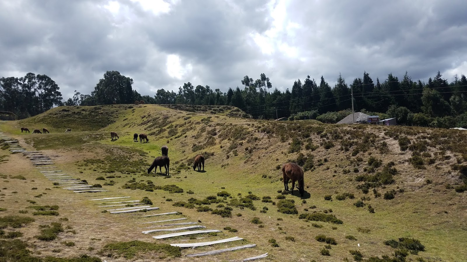 Vista aérea del Parque Arqueológico Cochasquí